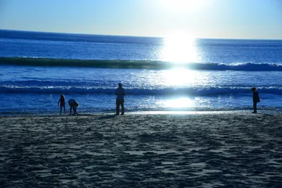 DSC_1203 (Large).JPG